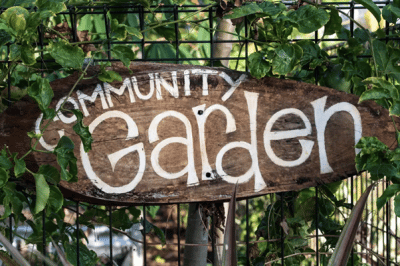 community garden